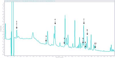 Skin-protective biological activities of bio-fermented Aframomum angustifolium extract by a consortium of microorganisms